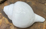 Guru Conch Shell Horn is