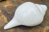 Guru Conch Shell Horn is