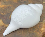Guru Conch Shell Horn is