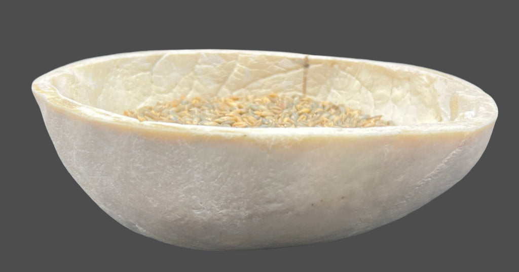 Kapala:Dum-Bu Chikpa