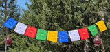 Wind Horse Prayer flag in English #22