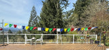 Large Cotton Prayer flag #37