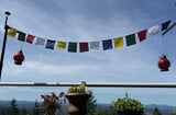 Colorful Long lasting Prayer Flag #34