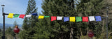 Colorful Long lasting Prayer Flag #34