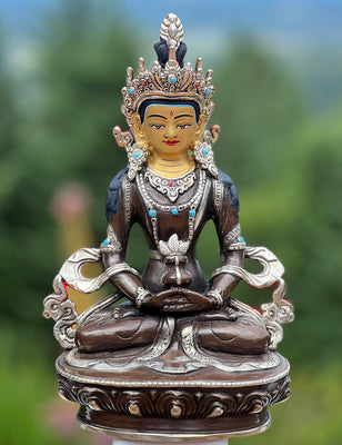Amitayus Buddha #14