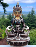 Amitayus Buddha #14