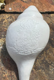 Large White Conch Shell