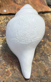 Large White Conch Shell