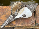 Auspicious Design Conch Shell