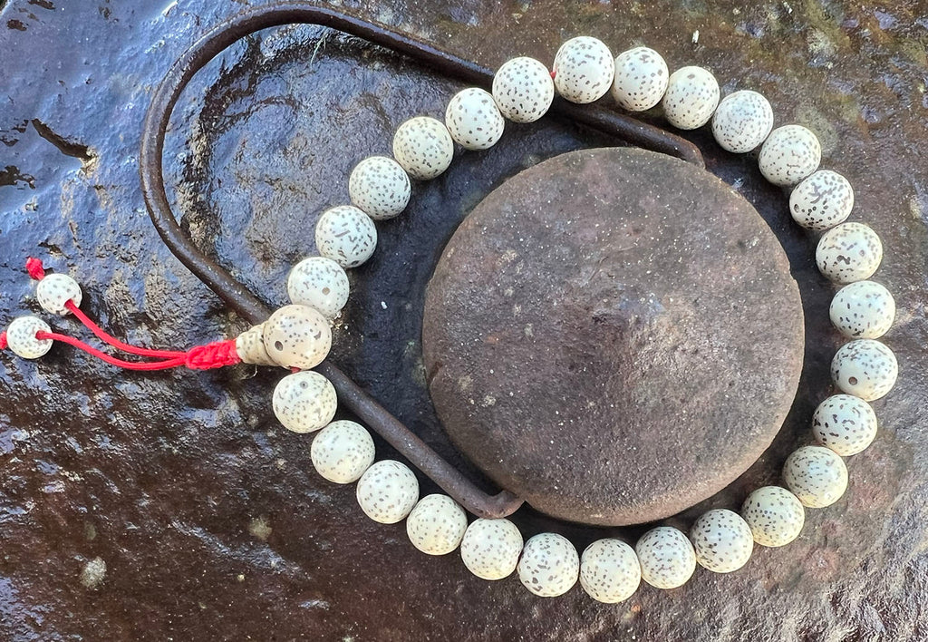 Lotus Seed Wrist Mala with Red Cord #23