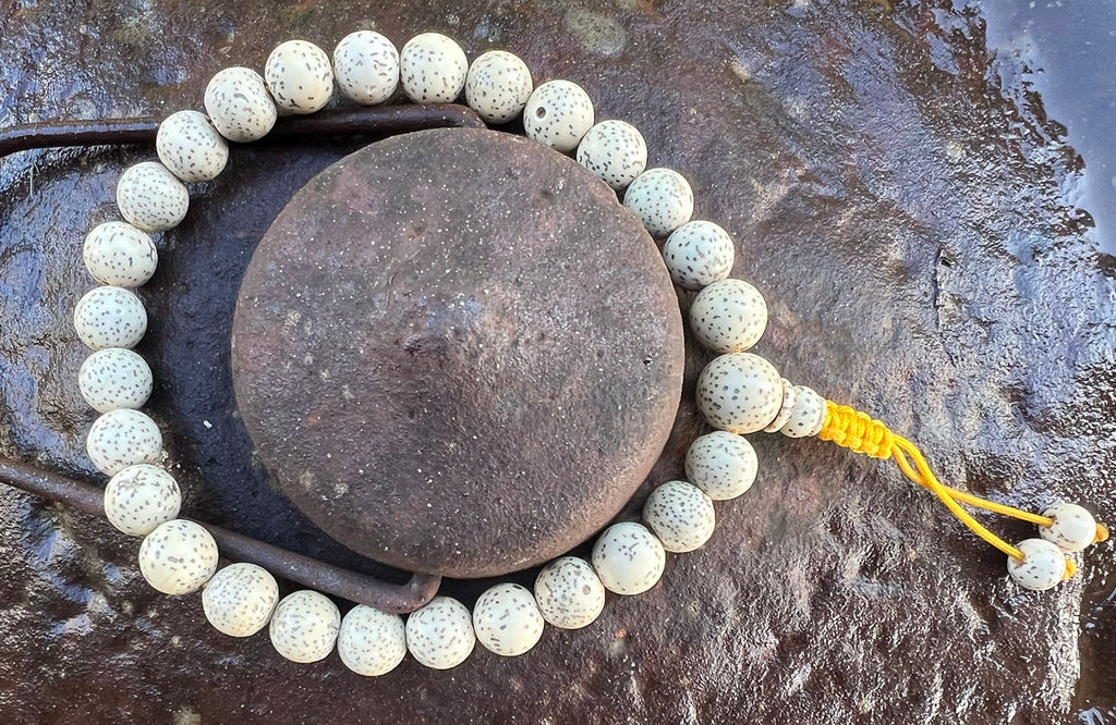 Lotus Seed Wrist Mala with Yellow Cord #22