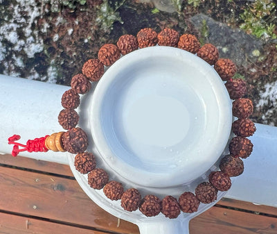 Rudraksha Wrist Mala with Red Cord #25