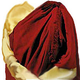 Raw Silk Zen Shawl #2