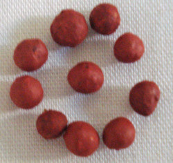 Long Life Pills: Tse-Rill #3