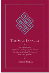 The Sole Panecea #18