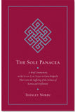 The Sole Panecea #18