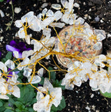 Crystal Tree of Positive Energy