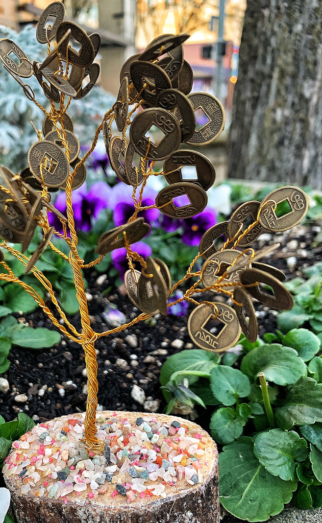 feng shui money tree placement Good Fortune Money Tree