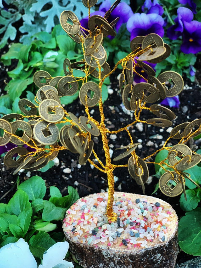 good fortune money tree Good Fortune Money Tree
