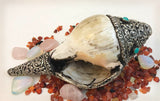 Silver Kalachakra Conch Shell