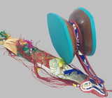 Singding Damaru large #3