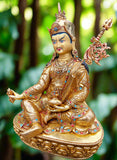 Majestical Appearing Guru Rinpoche