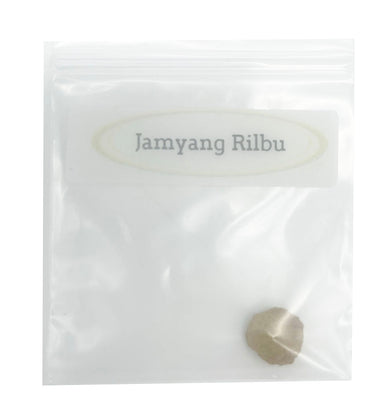 Manjushri Pill