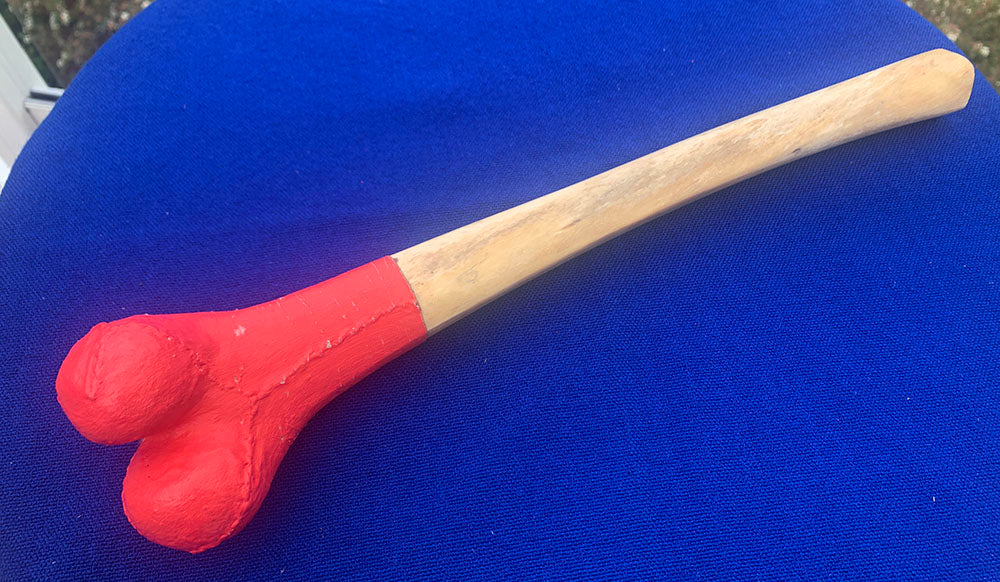 Thigh Bone Kangling Genuine