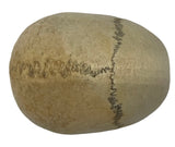 Kapala