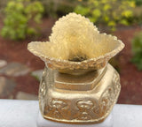 Brass Capala Set Large #3