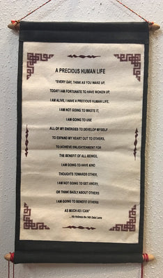 Precious Human Life: Dalai Lama #6
