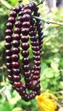 Rosewood Mala 7mm #11