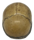 Antique Kapala