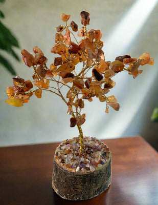 Tree of Life