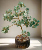 Tree of Life