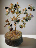 Tree of Life
