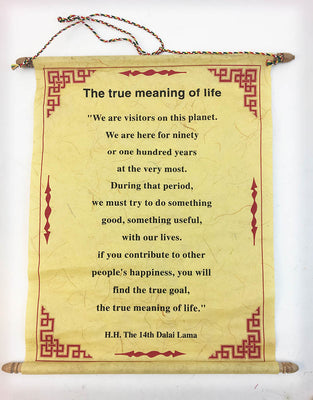 True Meaning of Life #3