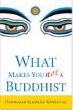 What Makes You Not a Buddhist