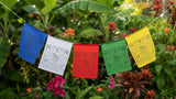 Tibetan Prayer Flags- Set of 5 or 10 #6