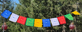 Wind Horse Prayer flag in English #22