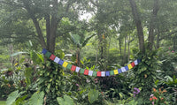 Biodegradable Tibetan Prayer Flags (Set of 10)
