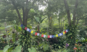 Biodegradable Tibetan Prayer Flags (Set of 10)