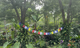 Biodegradable Tibetan Prayer Flags (Set of 10)