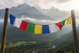 Tibetan Prayer Flags- Set of 5 or 10 #6