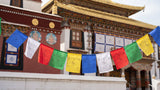 Tibetan Prayer Flags- Set of 5 or 10 #6