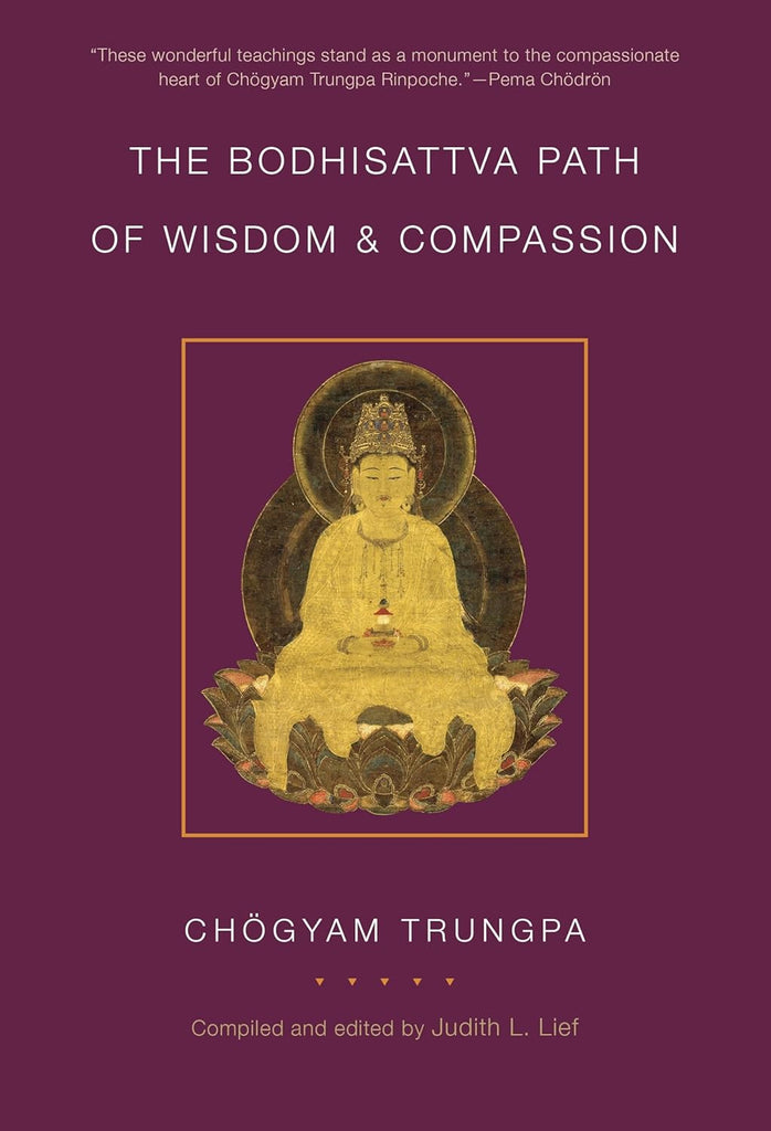 The Bodhisattva Path of Wisdom and Compassion (volume 2)