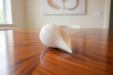 Large White Conch Shell horn #4