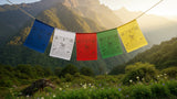 Tibetan Prayer Flags- Set of 5 or 10 #6