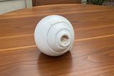 Large White Conch Shell horn #4