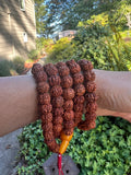 Rudraksha Prayer bead #10